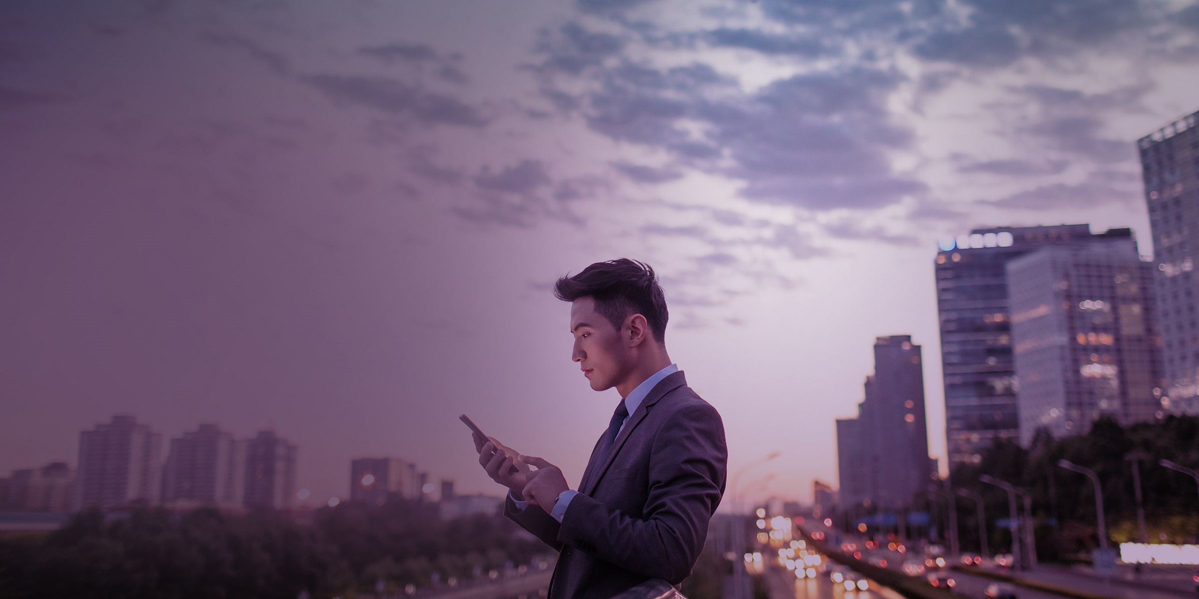 Temenos integration partner